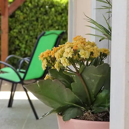 Casa Do Monte Amarelo ゲストハウス *