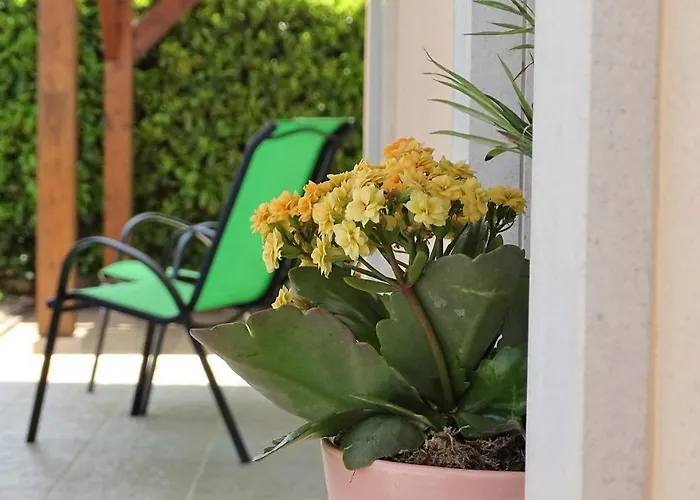 Casa Do Monte Amarelo Affittacamere *